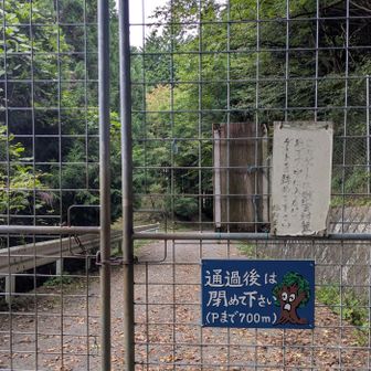 熊対策かな