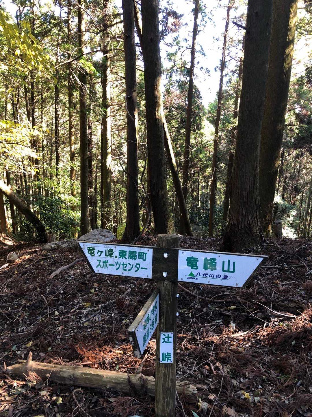 石段登山口-射鳥峠-竜峰山-鞍ヶ峰-竜ヶ峰 縦走コースの写真