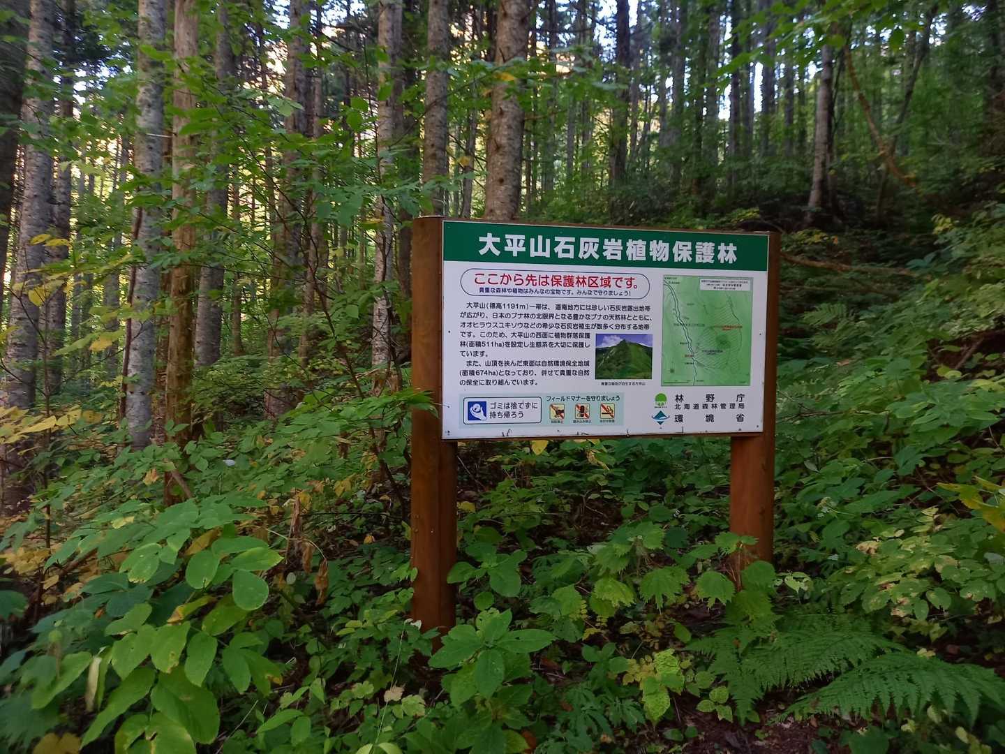 大平山 往復コースの写真