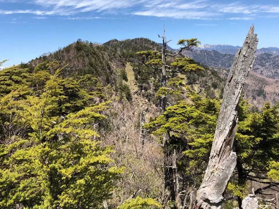奥袈裟丸山の写真