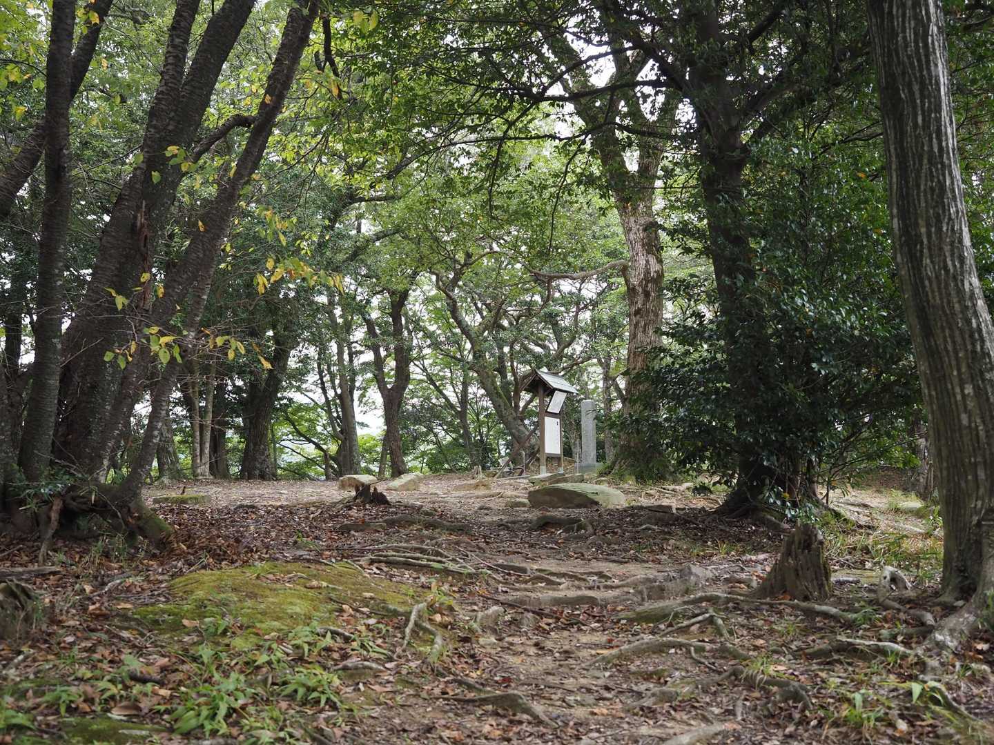 山頂⛰
大内最後の当主大内義長が毛利氏の侵攻に備えて作られた城だったとか
山頂標識見つけられず🥲