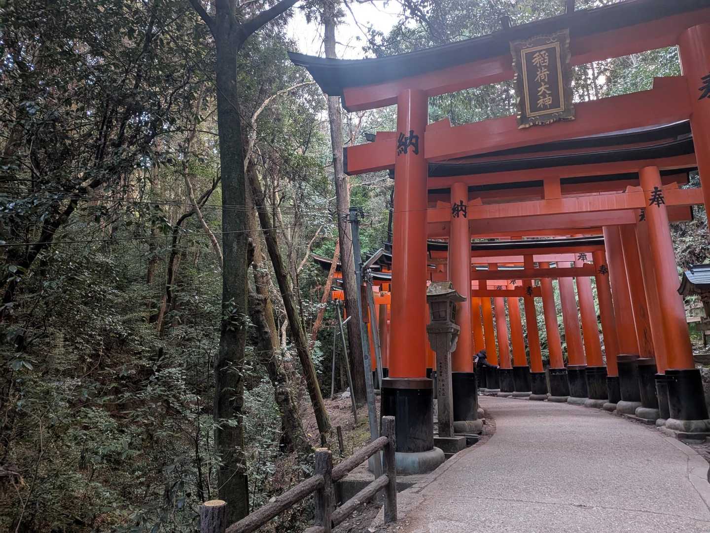 さぁ～まだまだ歩くよー🚶