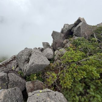 ここまで来て折り返し。行けそうではある。