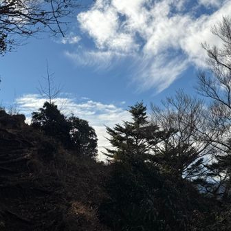 あ、てっぺんに近づいた✨