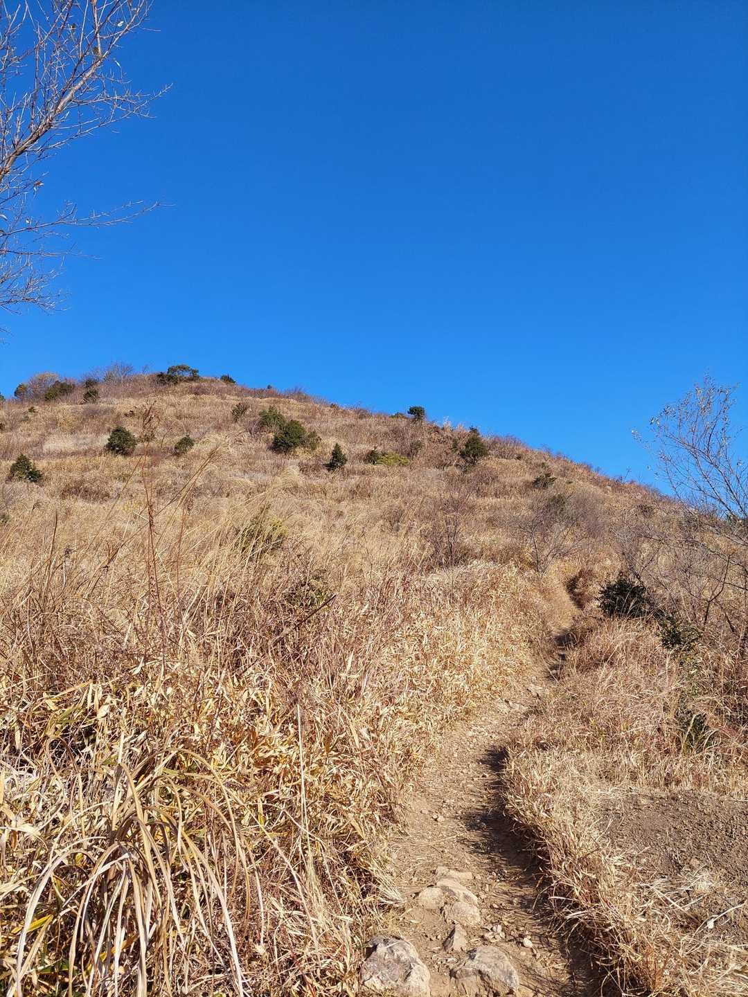 青い空❕
