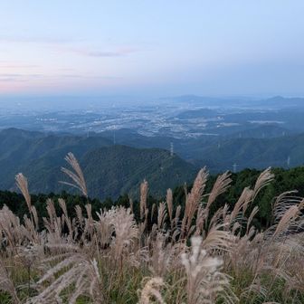 大阪方面を見渡す