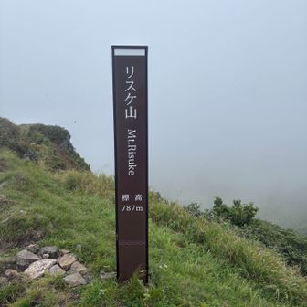 いやだ、真っ白😔