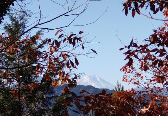 草戸山の最新登山情報 / 人気の登山ルート、写真、天気など | YAMAP