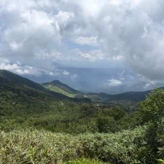 無事下山〜🥾
ほぼずっと岩だった…
