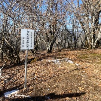 皇太子殿下も来てる、これは覚えてる