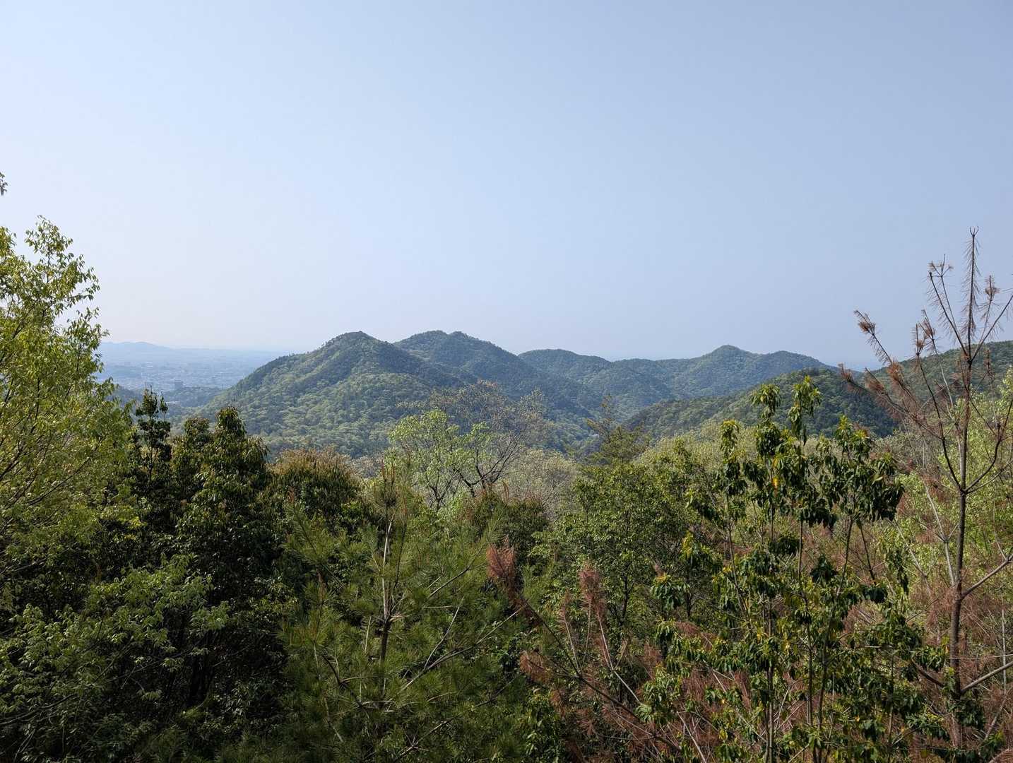金山-岩坂峠-岩坂山-須衛山-向山 往復コースの写真