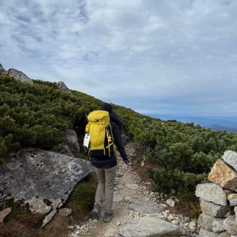 薬師岳山荘まで戻ってきた。
そのまま下山します。
結局山荘の写真撮るの忘れてる。