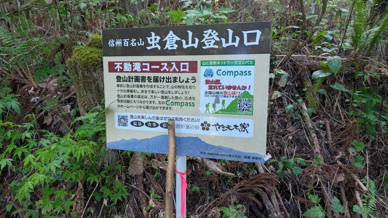 こっちからスターティン👣