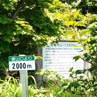 登山口より2000mの🪧
どこを基準にしてるのか…🤔