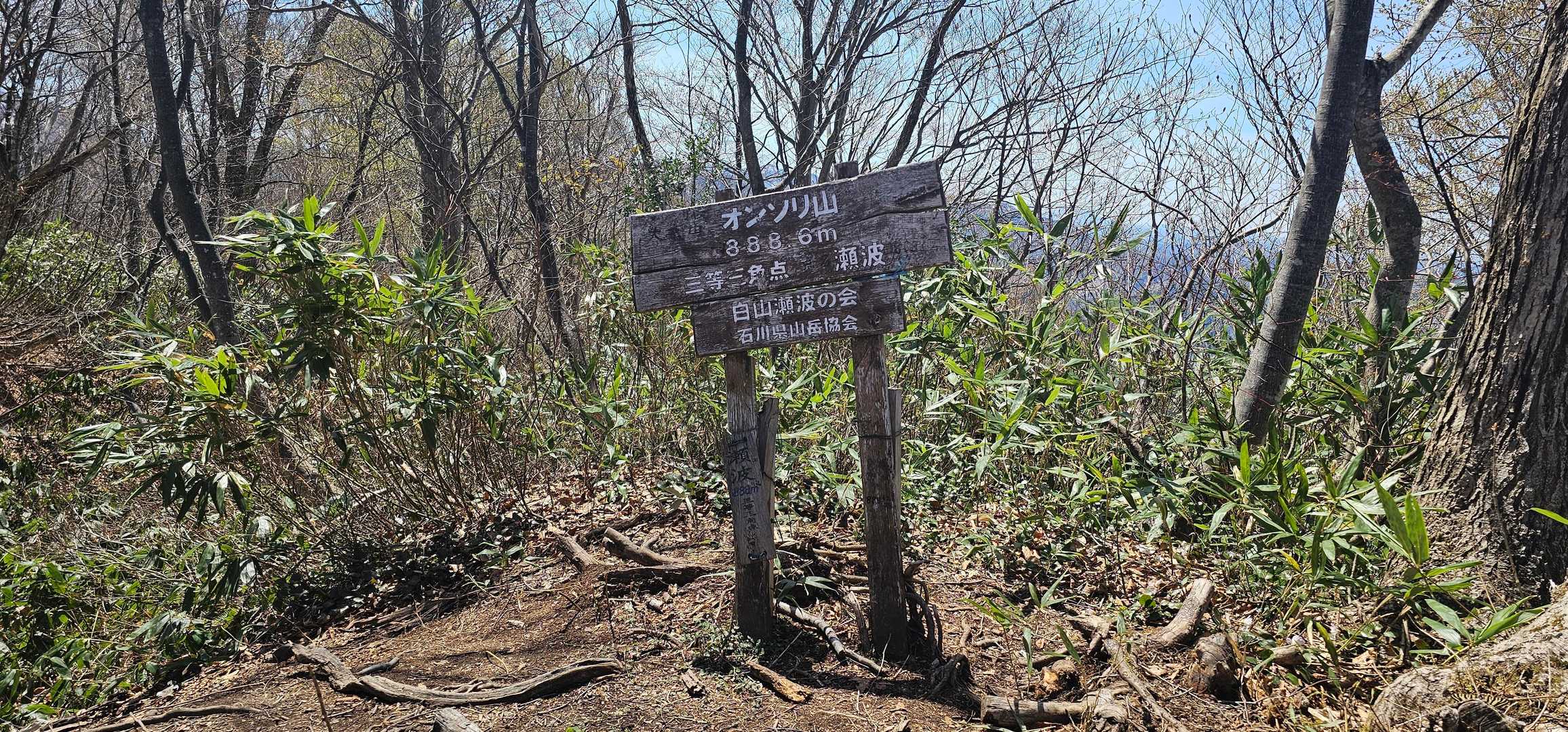 大恐山 往復コースの写真