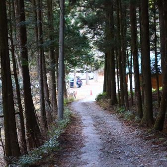 戻ってきました。