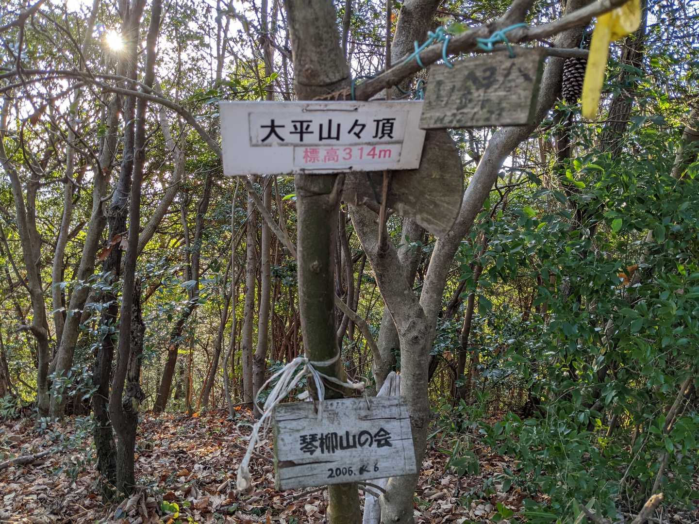 大平山山頂⛰