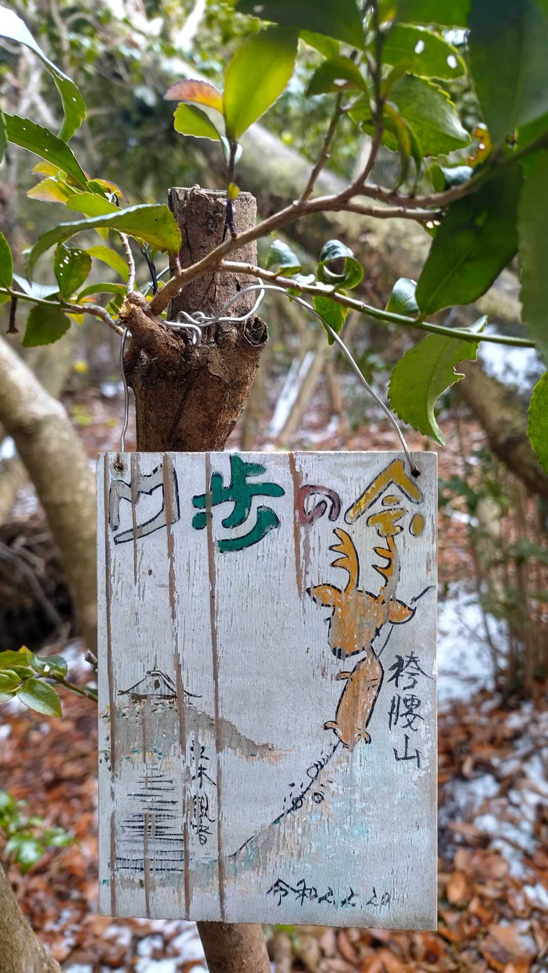 袴腰山　可愛い🦌