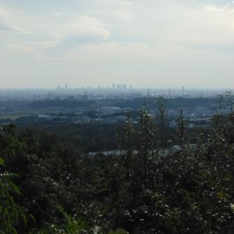 名駅高層ビル群