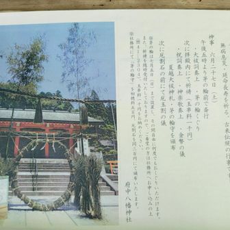 『夏越大祓式』　茅の輪をくぐる
があるようですね💚6月27日土曜日の午後5時から夏越大祓式がありますよ
7月5日まで茅の輪はあるそうです