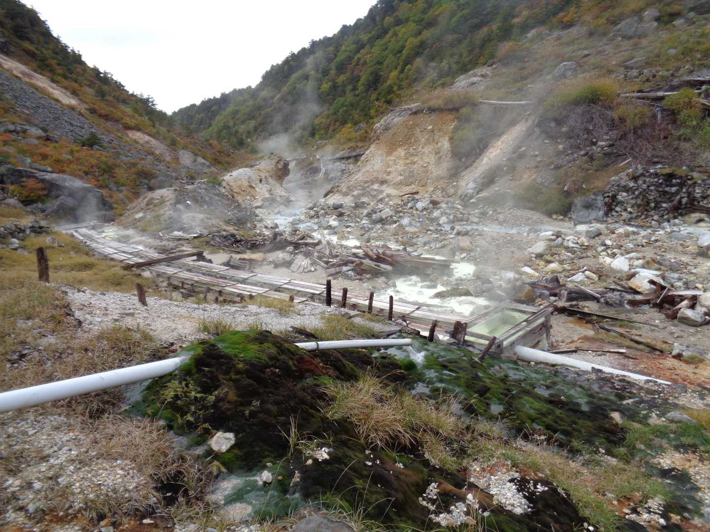 湯畑