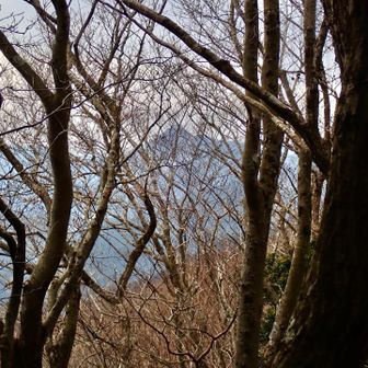 木の間越しに高見山が見えました