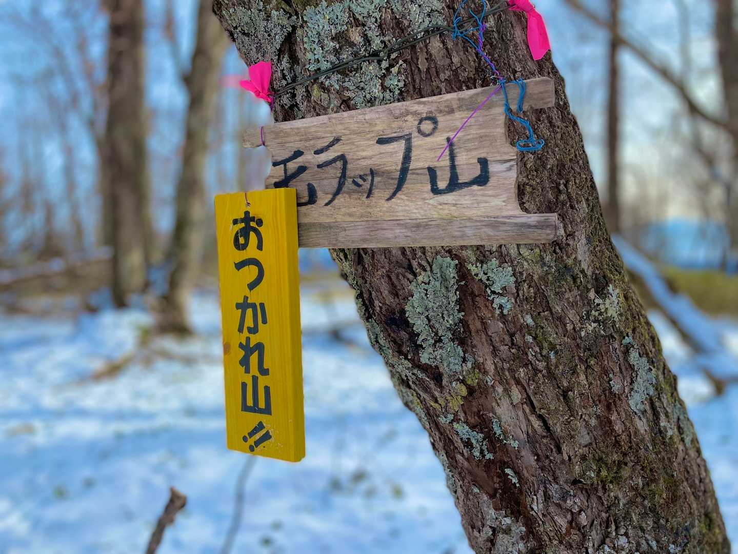 括りつけてるワイヤーの色も含めて可愛い💕