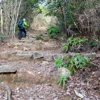 各務原権現山への長い階段💦