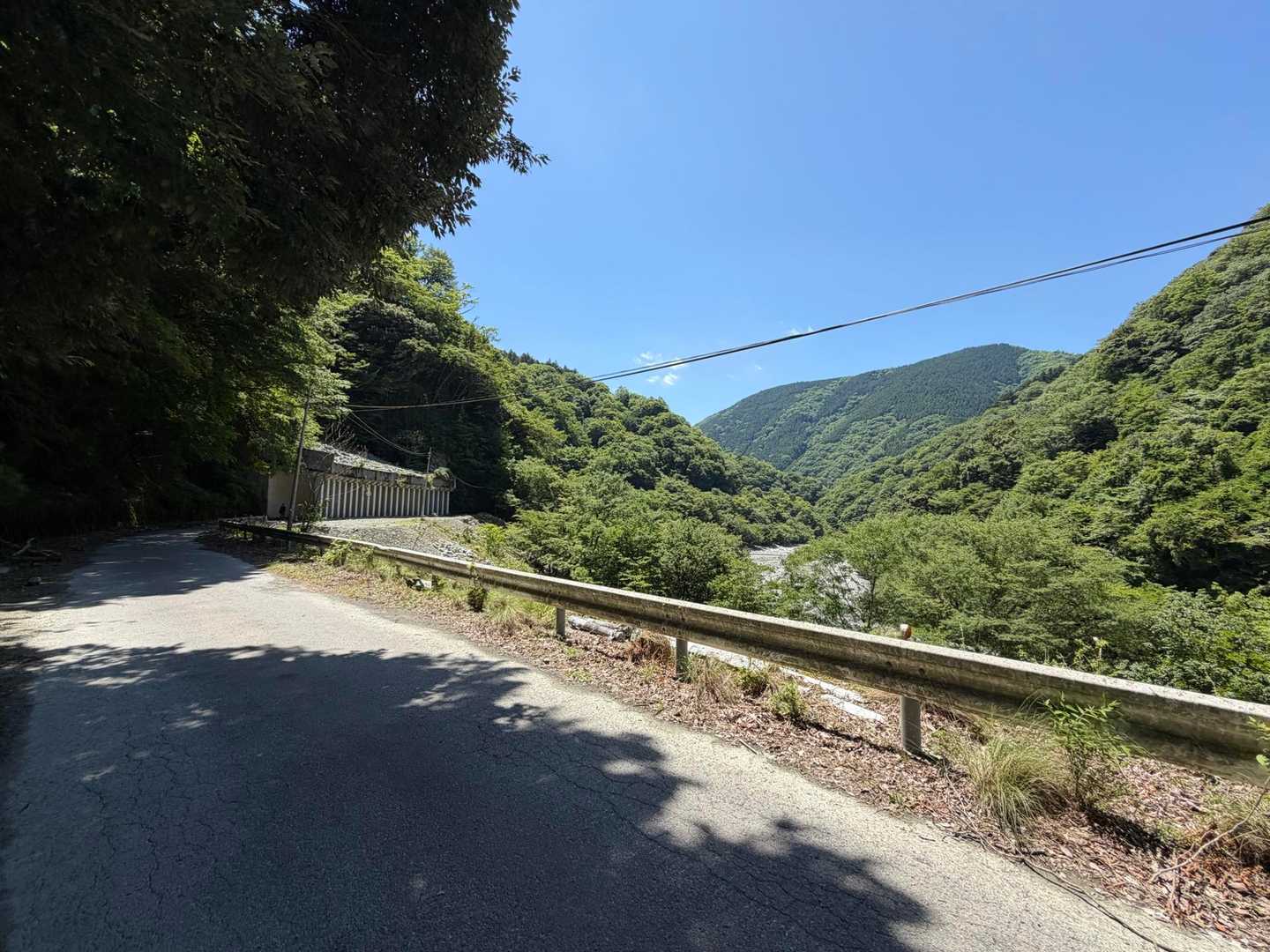 もう思い残すことはないので、帰りましょう👍