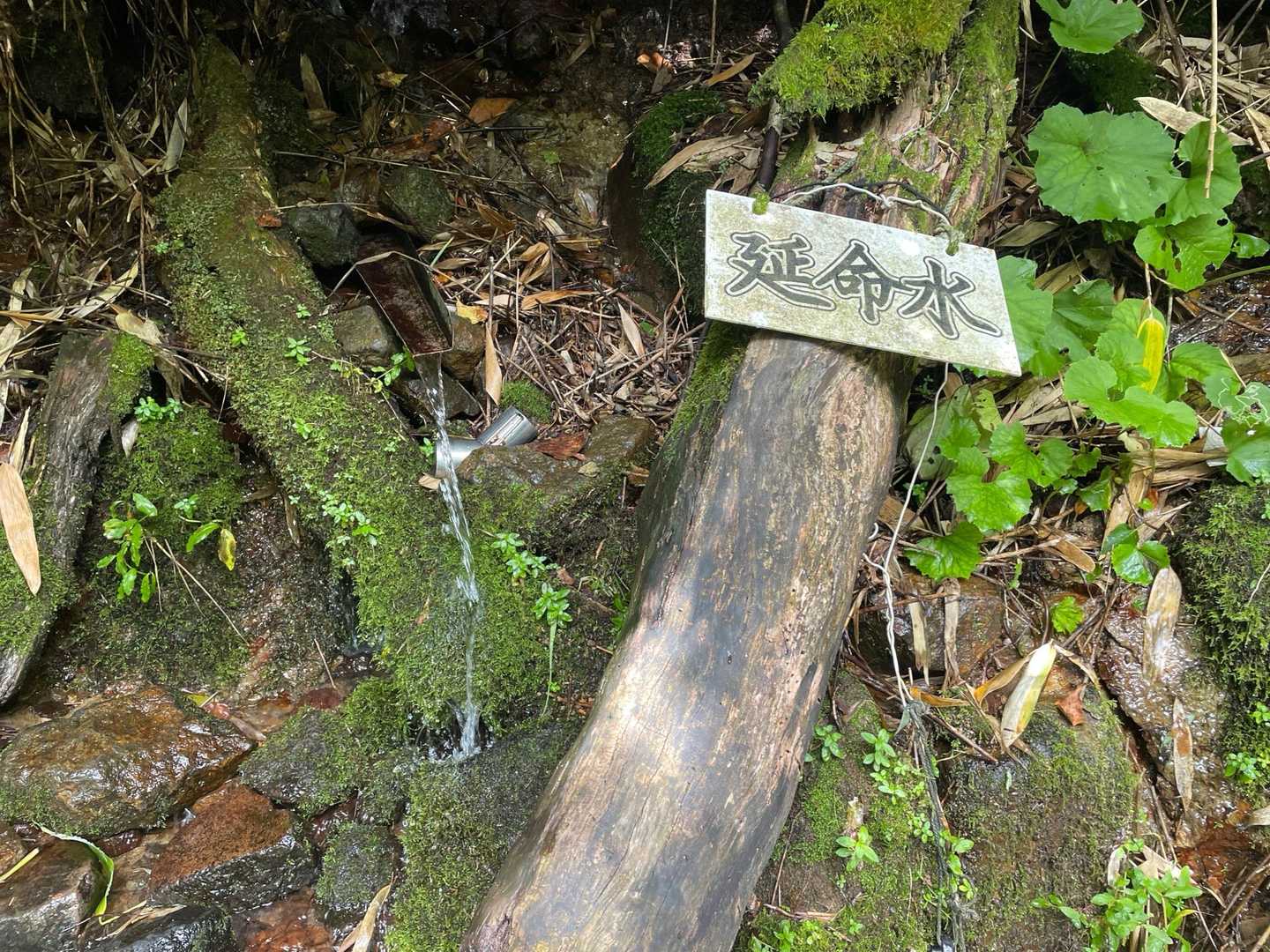 延命した感じがする