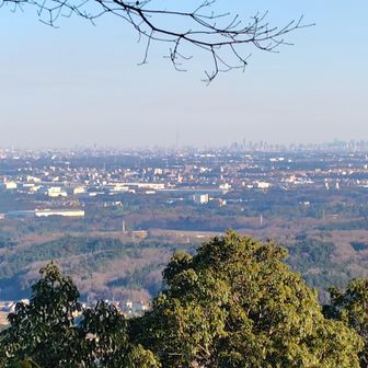 日和田山の山頂から新宿副都心・スカイツリー.etc💡標高305m