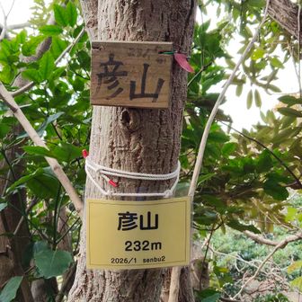 彦山⛰️山頂に到着