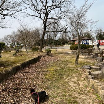 11時過ぎてのスタートです頂上でお昼ご飯でしょうか❓