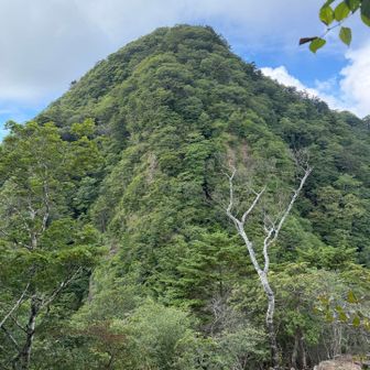 ラスボス感ある十二ヶ岳
ここを登っていくのね！