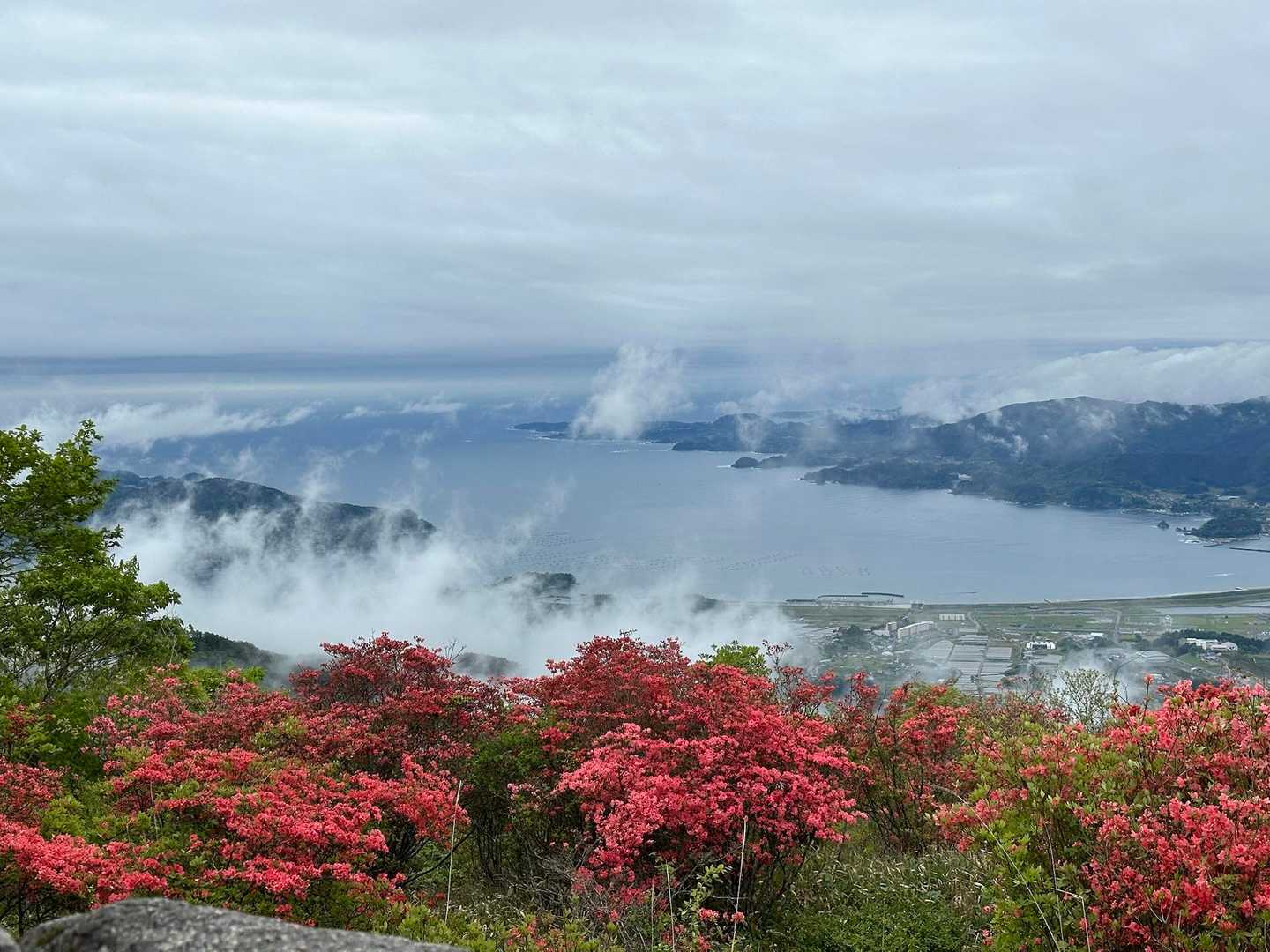 中央コース登山口-氷上山 縦走コースの写真