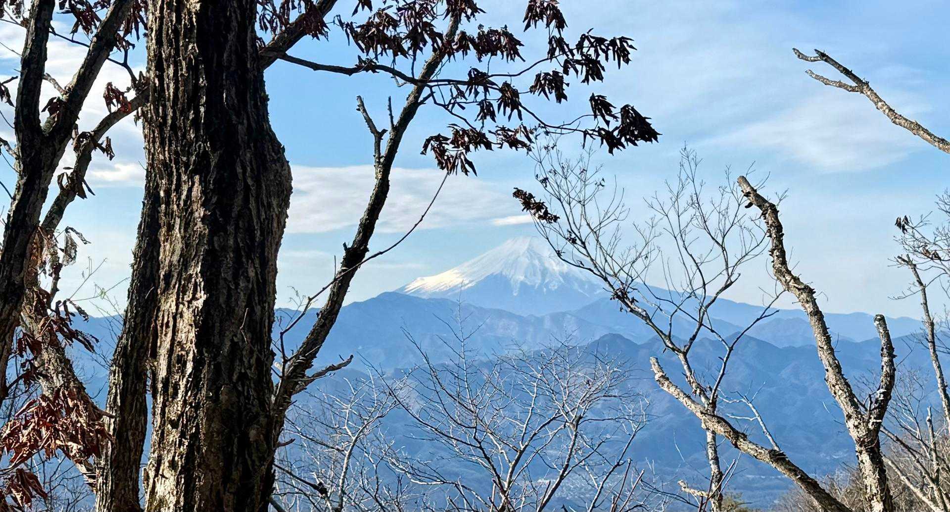 この稜線は関東ふれあいの道の「富士見のみち」とも呼ばれていることに納得。木々の葉が茂るまでの時期、富士見しながらの稜線歩きが楽しめます
