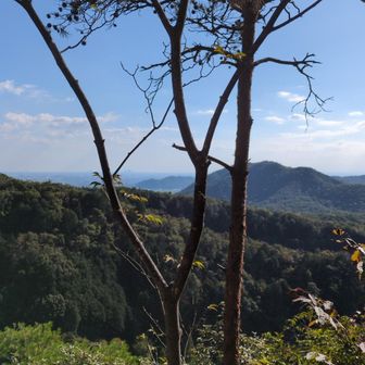 山脈に覆われていて低山縦走には最適です😌