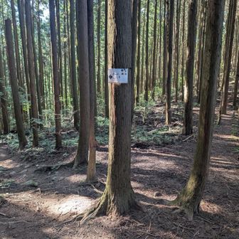 でも、案内はこんな程度