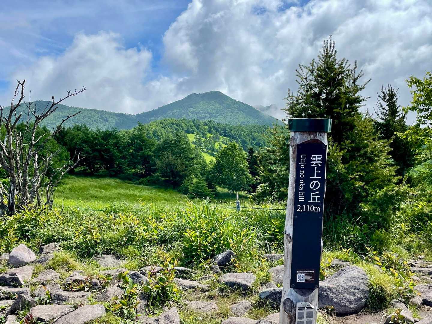雲上の丘から篭ノ登山がよく見えます⛰️
昨年登った湯の丸山や烏帽子岳も見えました⛰️