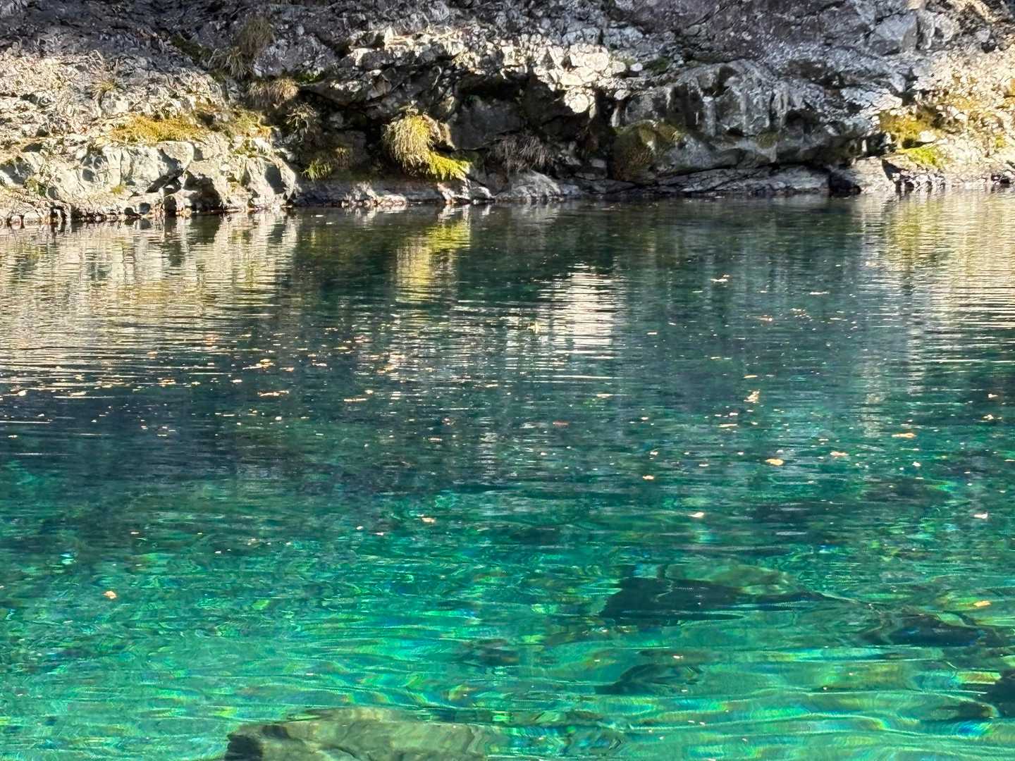 大杉峡谷登山口-休憩所-堂倉滝吊橋-大台ヶ原山-大台ヶ原バ 往復コースの写真