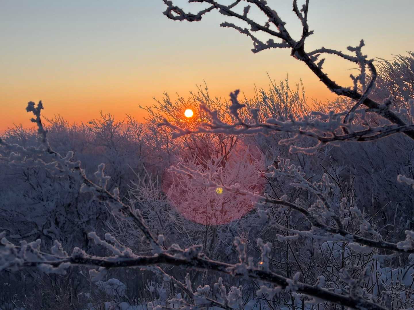 山頂の霧氷😍