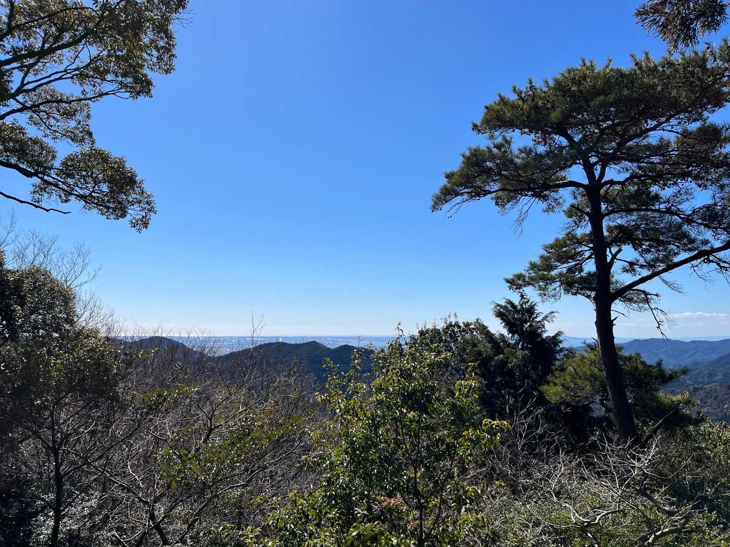 額堂山-森ヶ嶺登山口-森ヶ嶺-ふっこし峠-高野御前山-まさ 周回コースの写真