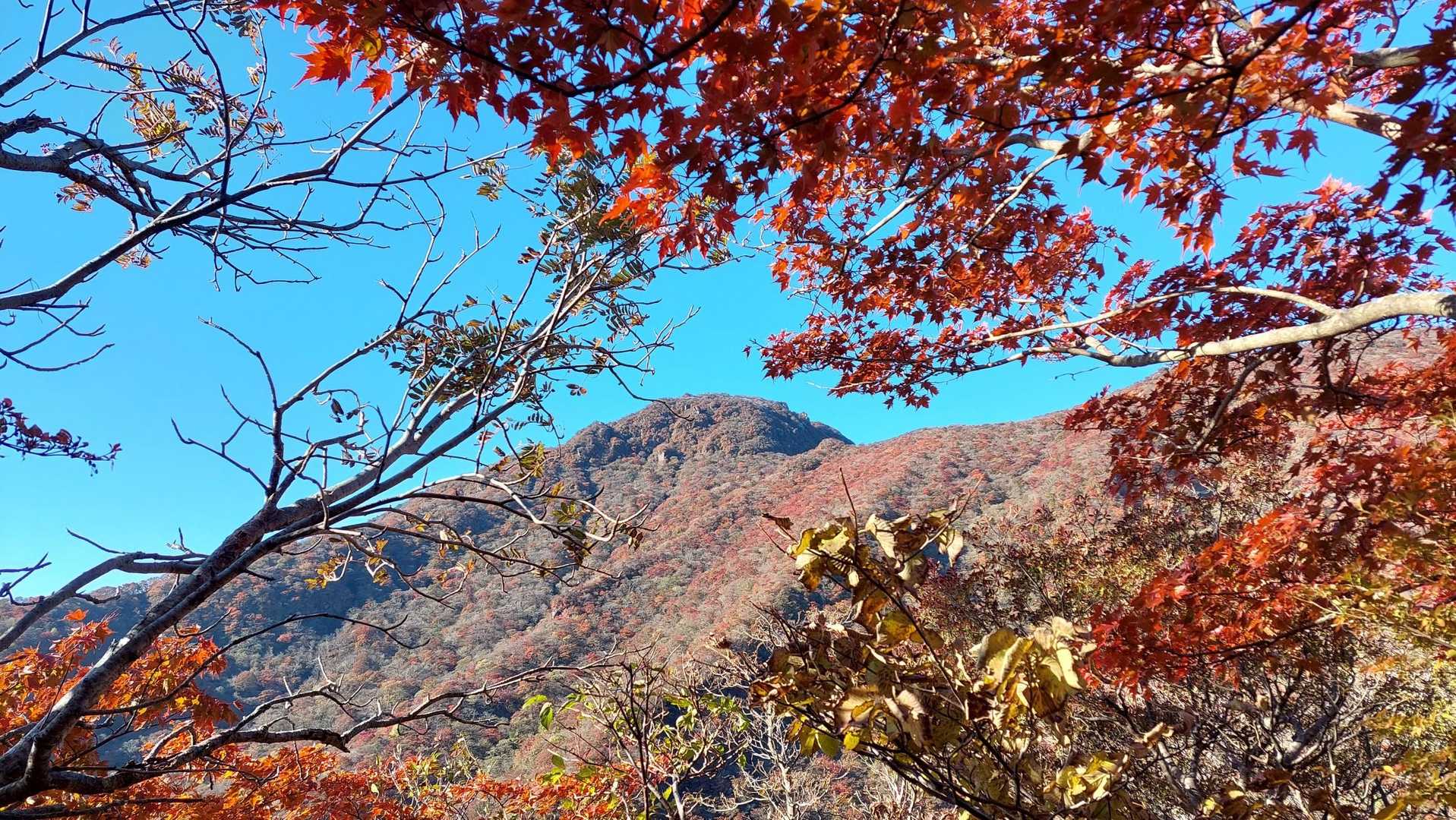 今水登山口-高塚山 往復コースの写真