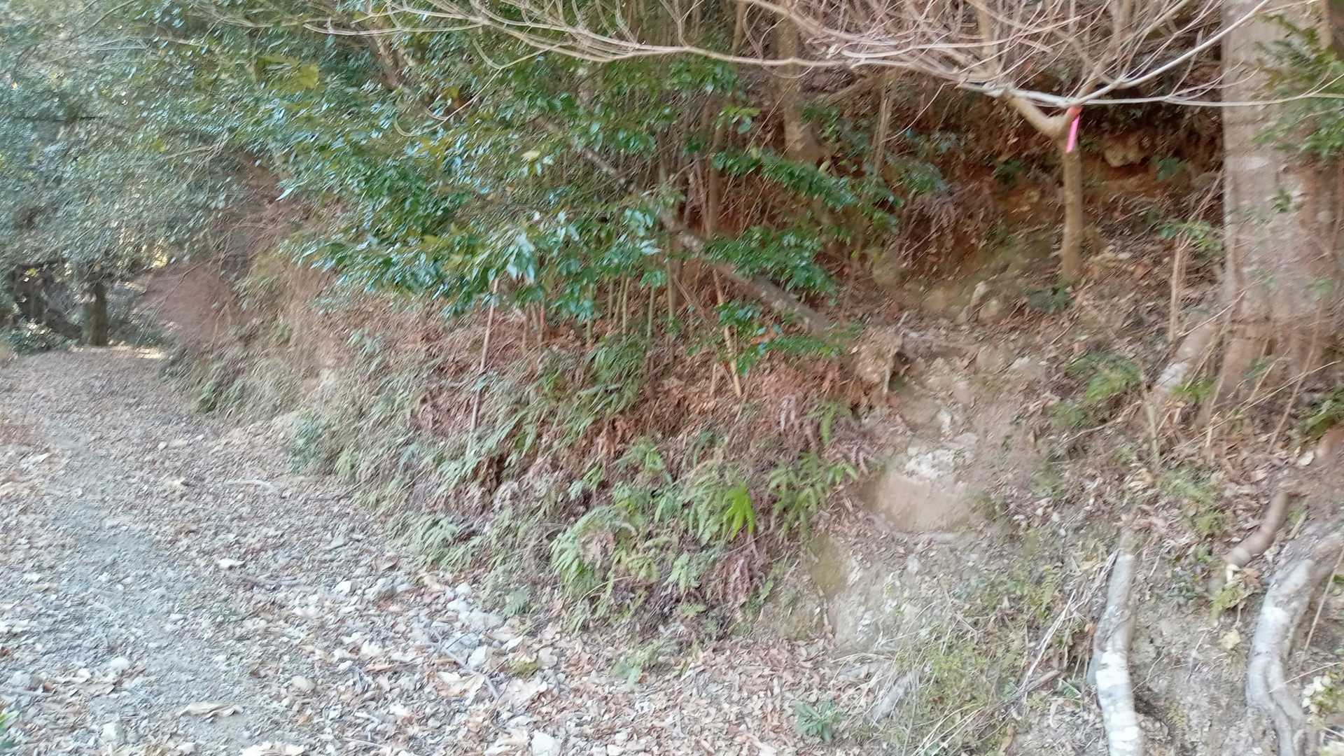 登りで取り付いたところまで戻ってきた