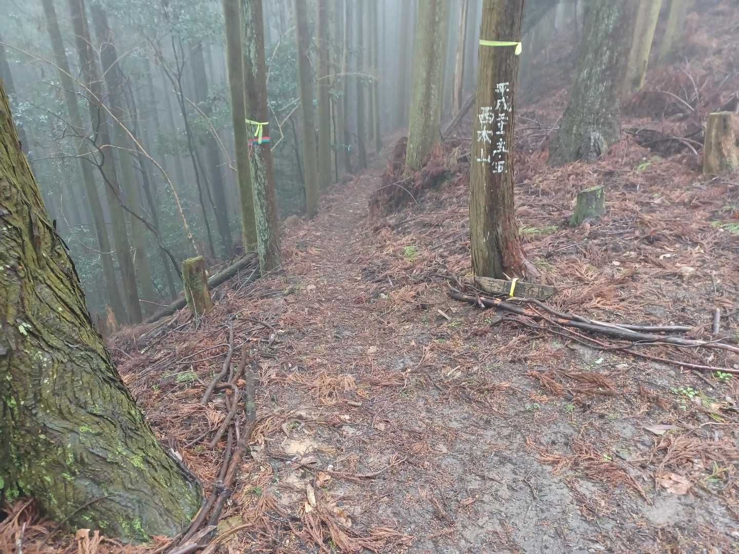 談山神社バス停-竜在峠-城ヶ峰-滝畑-芋ヶ峠-高取山-壺阪 縦走コースの写真