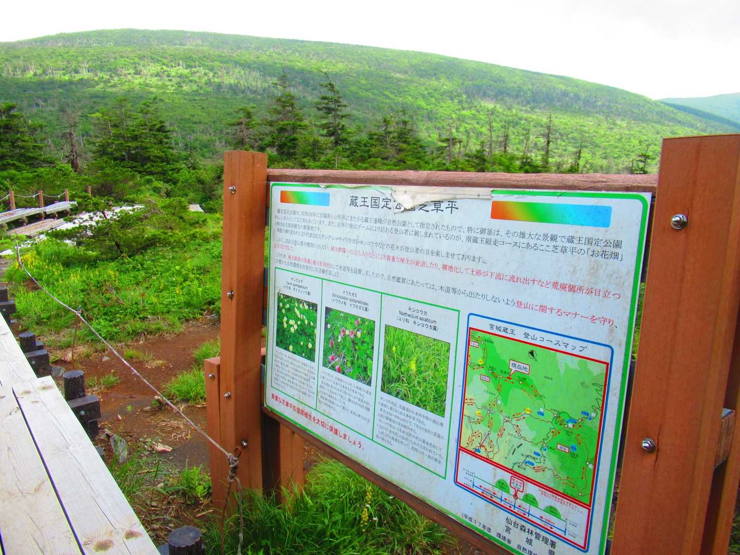 芝草平に到着