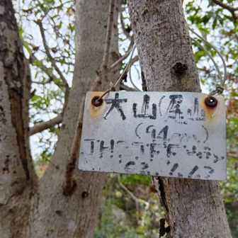 大山の山名板。色落ちしてる印象💦