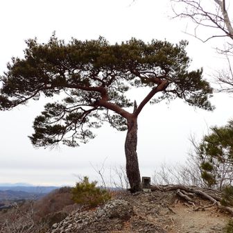鍋足山
西側の那須連峰、高原山などなどがよく見えた👍
