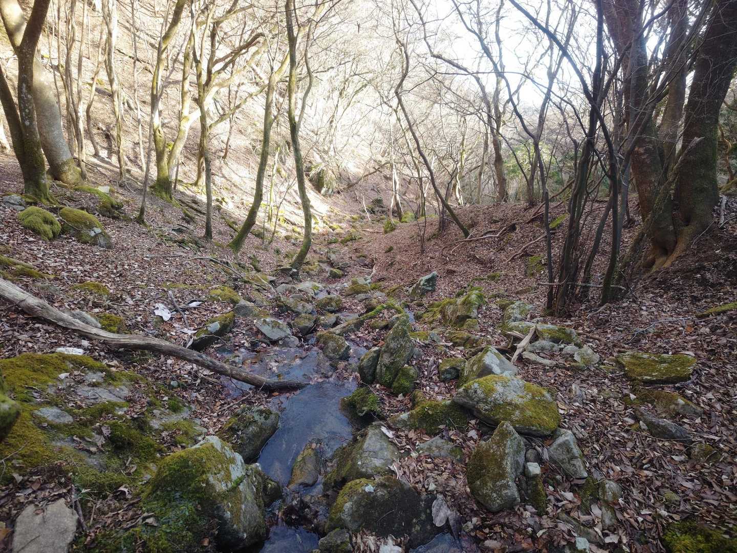 霊山登山口-霊山 往復コースの写真