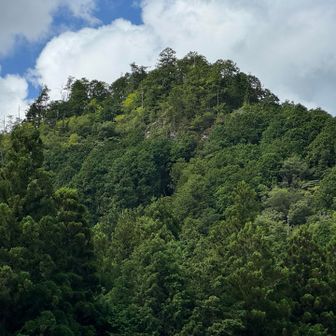 これかも、彦坊山